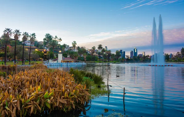 Picture fountain, USA, Los Angeles, Echo Park Lake