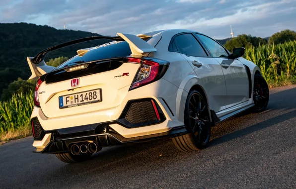 Picture white, Honda, ass, feed, hatchback, the five-door, 2019, Civic Type R, 5th gen, FK8