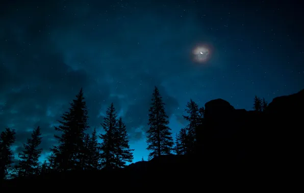 Picture The sky, Night, Stars, The moon, Forest, Canada, Spruce, A month, Banff National Park