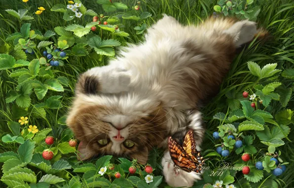 Picture cat, berries, butterfly, blueberries, strawberries, fluffy, cat