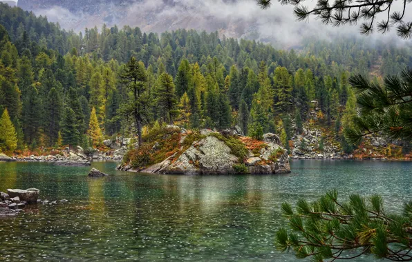 Picture forest, river, mountains, lake, fog