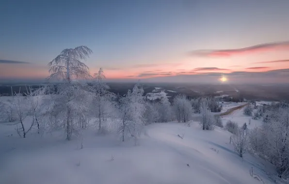 Picture winter, snow, trees, dawn, morning, the snow, Russia, Perm Krai, White mountain