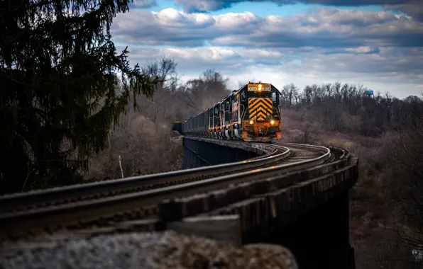 Picture nature, train, railroad