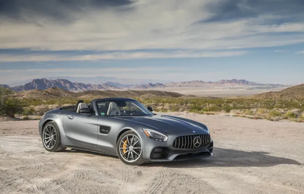 Picture Roadster, Mercedes-Benz, AMG, GT C