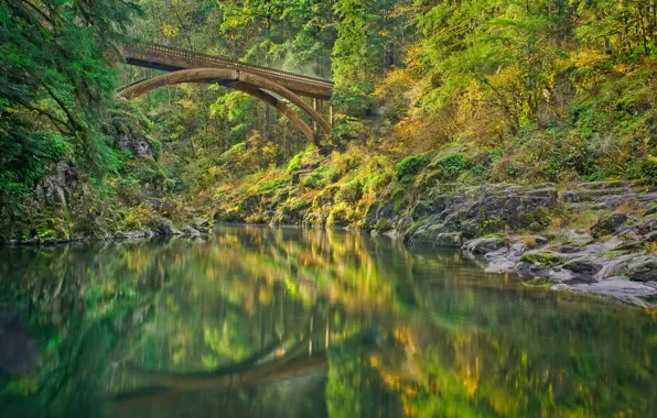 Picture forest, bridge, river, Lewis River, Washington State, Washington, River Lewis, Мост Моултон-Фолс, Moulton Falls Bridge