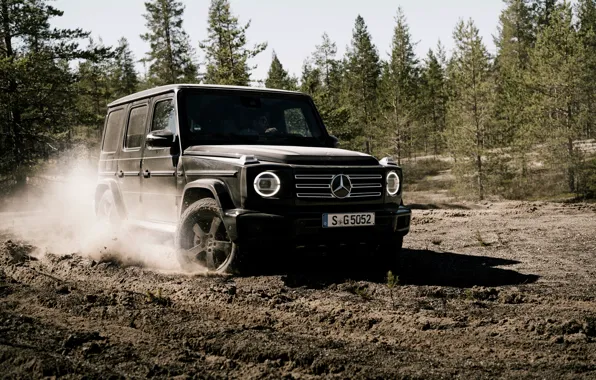 Picture forest, earth, black, Mercedes-Benz, SUV, 4x4, 2018, G-Class, V8
