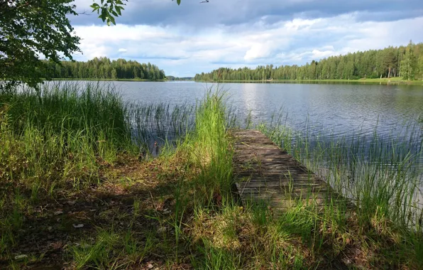 Picture summer, lake, Finland, Lapinlahti