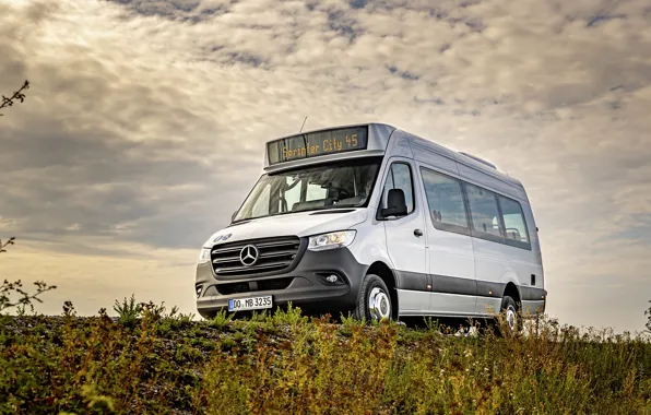 Picture photo, Mercedes-Benz, White, Bus, Car, 2019 Sprinter City