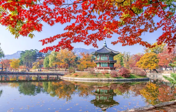 Picture autumn, leaves, trees, Park, nature, park, autumn, lake, leaves, tree, Korea, temple