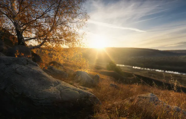Picture autumn, grass, the sun, rays, landscape, nature, stones, tree, hills, river, Agoranov Alex