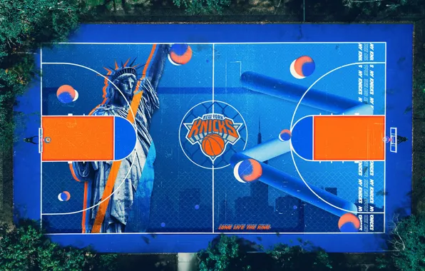 Picture Knicks, New York Knicks, Terry Soleilhac, by Terry Soleilhac