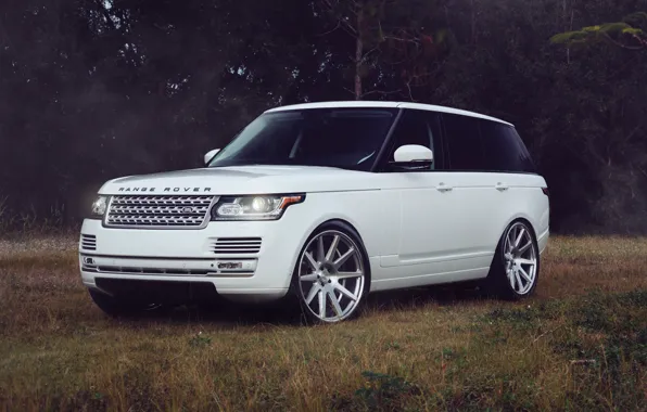 Picture Land Rover, Range Rover, Vogue