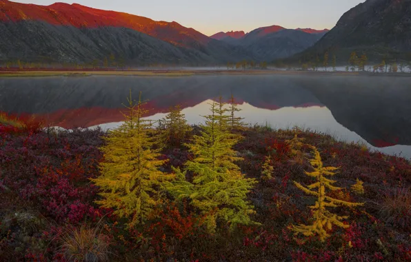 Picture autumn, landscape, mountains, nature, lake, reflection, vegetation, morning, larch, Vladimir Ryabkov, Kolyma, the lake of …