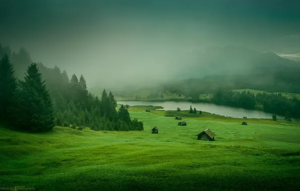Picture grass, forest, Nature, river, trees, landscape, mountains, houses, meadow, mist