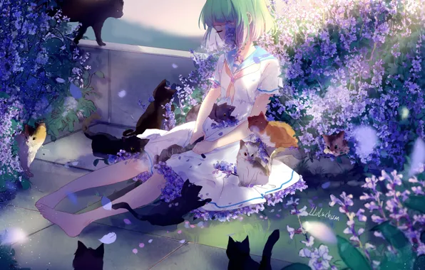 Picture sadness, cats, girl, kittens, green hair, lilac flowers, barefoot, sailor, lluluchwan