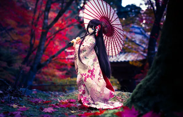 Picture umbrella, hair, Japanese, doll, kimono