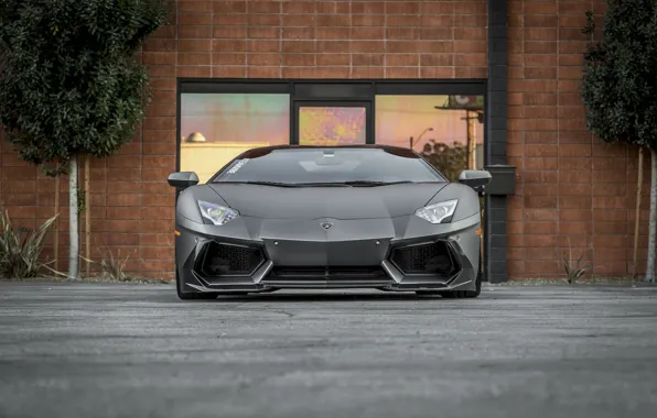 Picture Lamborghini, Front, Aventador, Face, LP 700-4, VAG, Graphite