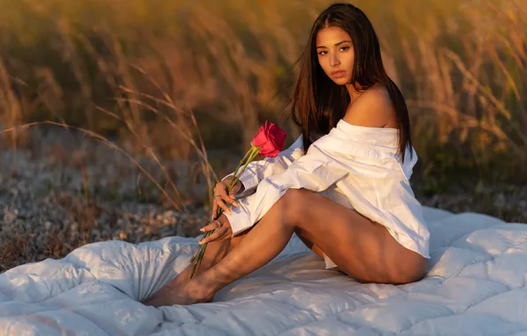Picture look, girl, flowers, nature, pose, roses, blanket, Christopher Rankin