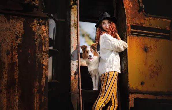 Picture look, girl, pose, dog, hat, curls, sweater, The border collie