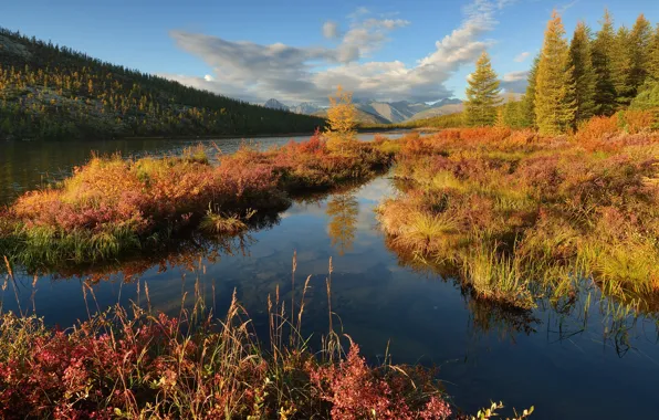 Picture autumn, landscape, mountains, nature, lake, morning, forest, Kolyma, Maxim Evdokimov
