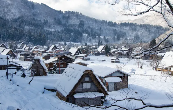 Picture winter, snow, mountains, branches, hills, village, home, Japan, forest, Shirakawa-go