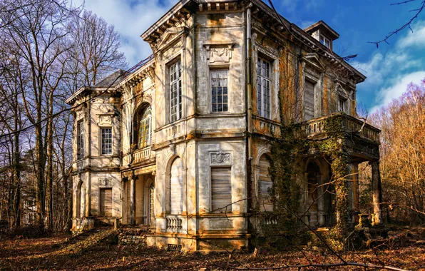 Picture forest, castle, villa, ancient, abandoned, old house