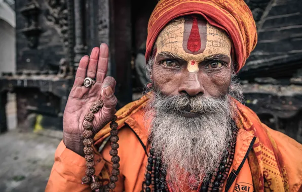 Picture Nepal, Kathmandu, Portrait of a sadhu