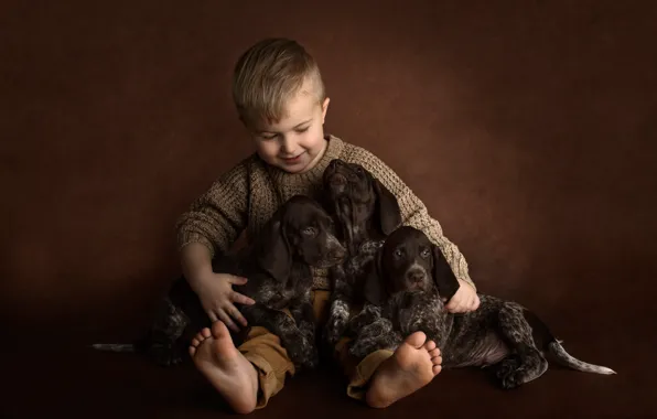 Picture dogs, background, mood, boy, puppies, trio, friends, doggie