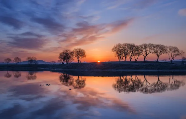 Picture water, trees, reflection, sunrise, dawn, morning, South Korea