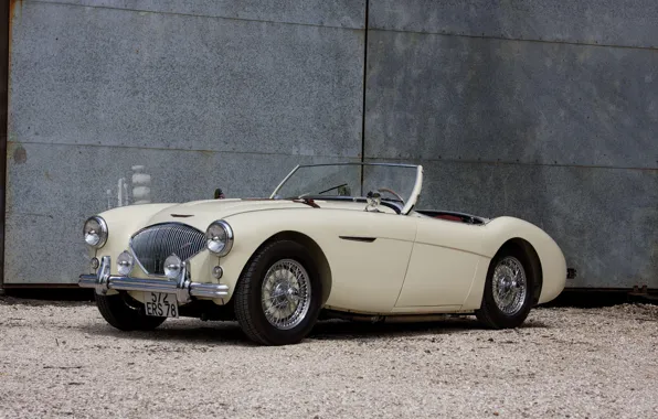 Picture Roadster, The Mans, Austin-Healey 100M