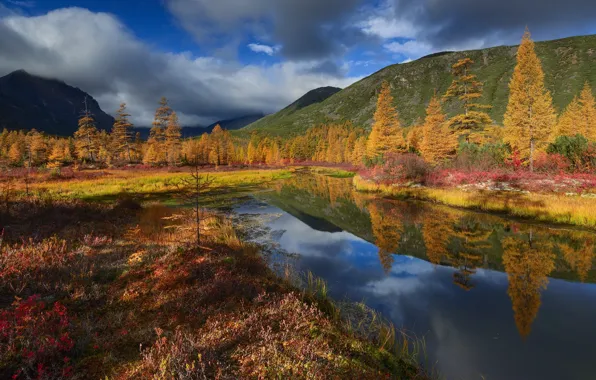 Picture autumn, clouds, landscape, nature, stream, hills, Kolyma, Maxim Evdokimov, Unknown