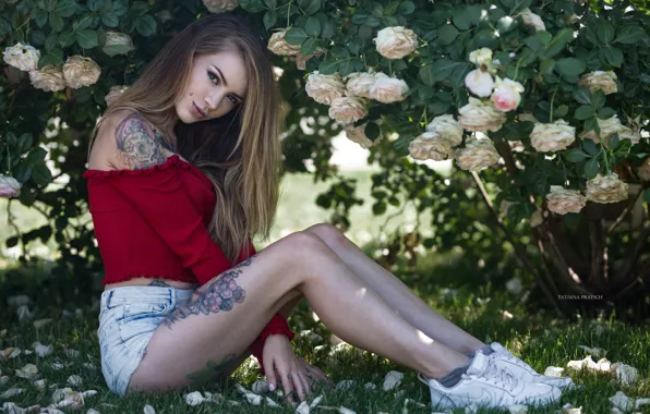 Picture look, girl, flowers, pose, model, shorts, roses, makeup, petals, garden, figure, piercing, tattoo, hairstyle, blouse, …