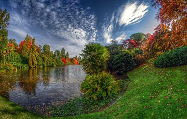 Picture autumn, lake, USA, Sheffield Lake