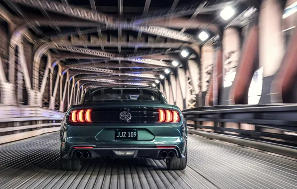 Picture movement, Ford, 2018, feed, V8, Mustang Bullitt, 5.0 L., 460 HP, fastback