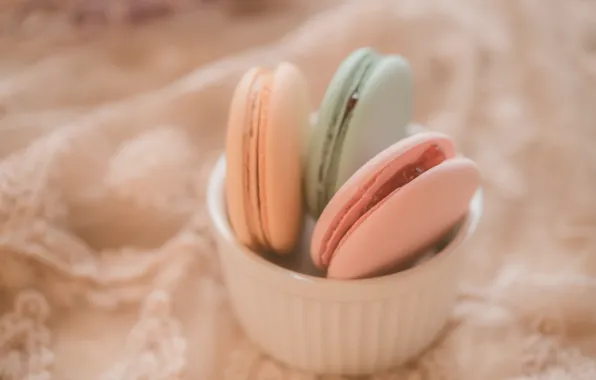 Picture colorful, dessert, pink, cakes, sweet, sweet, dessert, bright, macaroon, french, macaron, macaroon