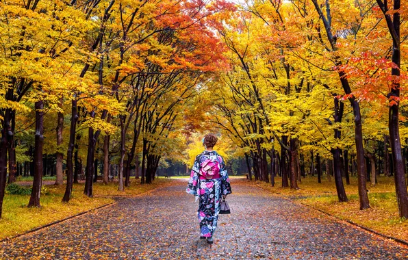 Picture autumn, leaves, girl, trees, Park, Japan, Japan, kimono, nature, park, autumn, leaves, tree, kimono
