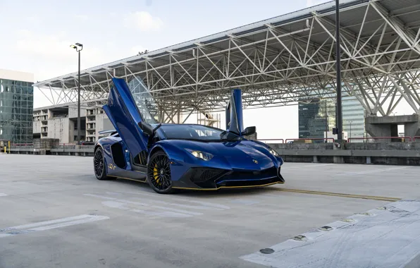 Picture Lamborghini, Blue, Aventador, SV