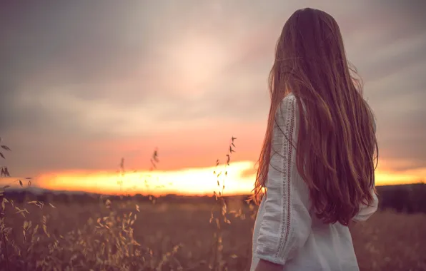 Picture field, girl, sunset, hair