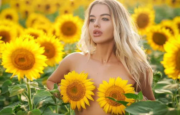 Picture field, girl, sunflowers, blonde, Sergey Gokk