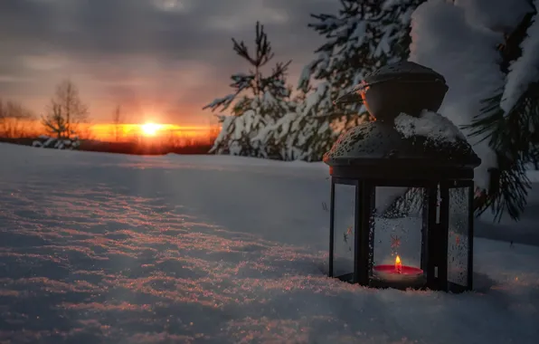 Picture winter, the sun, rays, snow, trees, landscape, nature, dawn, candle, morning, ate, lantern, Andrei