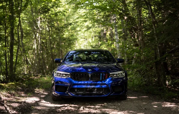 Picture BMW, Blue, Front, Forest, Sight, F90