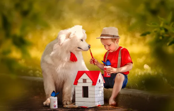 Picture butterfly, dog, hat, boy, house, bokeh, Ксения Лысенкова