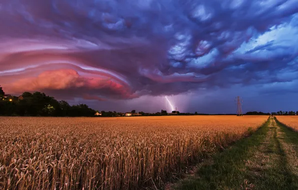 Picture road, the storm, field, landscape, clouds, nature, lightning, the evening