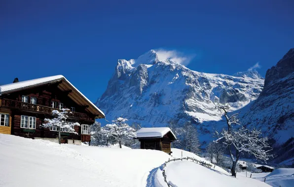 Picture winter, landscape, mountains, nature, village, home, Switzerland, Alps, Grindelwald, snow