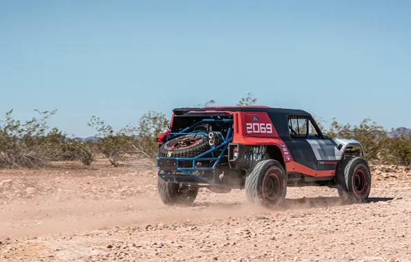 Picture vegetation, Ford, back, 2019, Bronco R Race Prototype