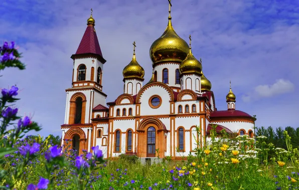 Picture summer, flowers, Church, Krasnoyarsk