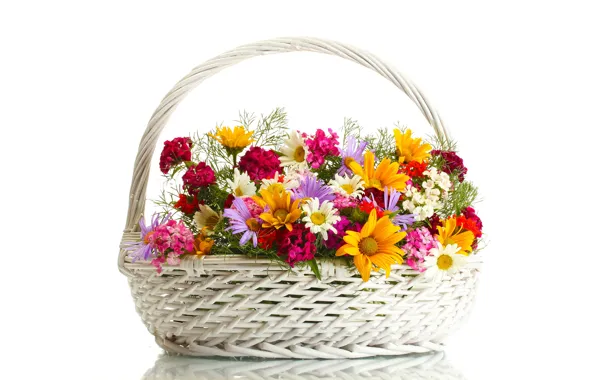 Picture flowers, basket, chamomile, white background, colorful, clove