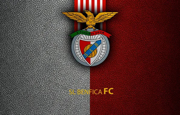 Wallpaper wallpaper, sport, logo, football, SL Benfica, First images for desktop, section спорт ...