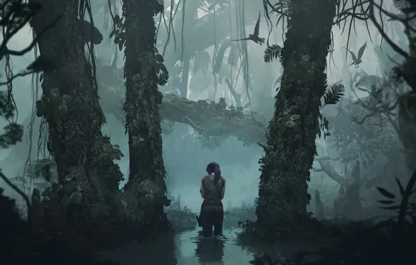 Picture Water, Reflection, Girl, Trees, Birds, Jungle, Square Enix, Lara Croft, Shadow of the Tomb Raider
