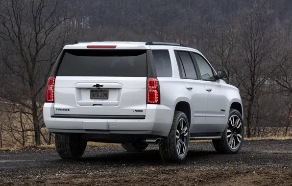 Picture white, Chevrolet, back, 2018, SUV, Tahoe